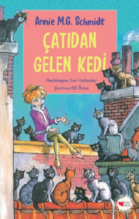 Çatıdan Gelen Kedi